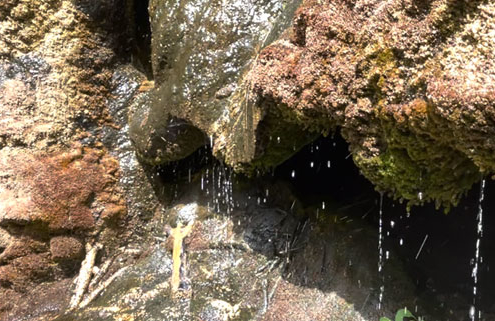 Cueva de la Araña – Paraje de los Rubiales.